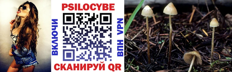 Галлюциногенные грибы Psilocybine cubensis  Купить где  Изобильный 