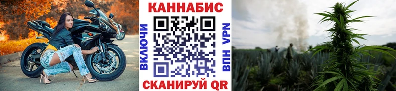 Бошки Шишки Amnesia  Купить где  Изобильный 